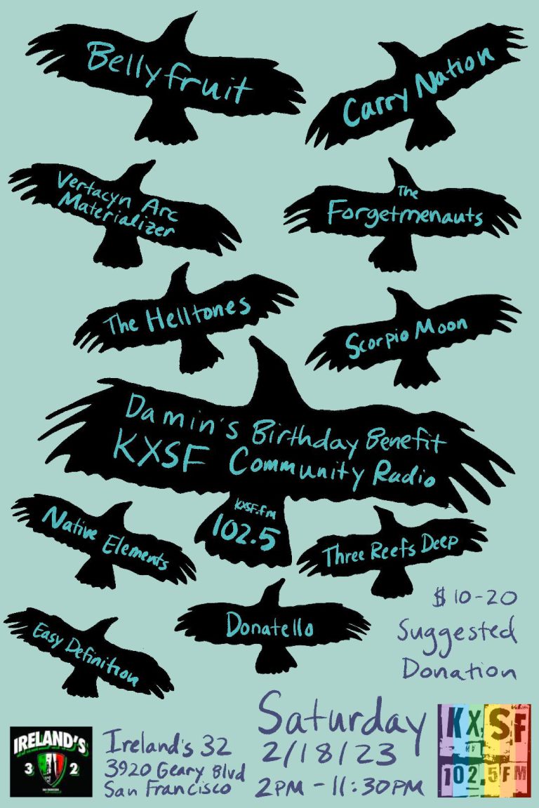Damin's birthday benefit at Ireland's 32 on Feb. 18